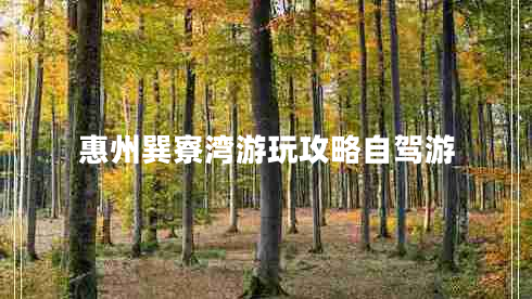 惠州巽寮灣游玩攻略自駕游