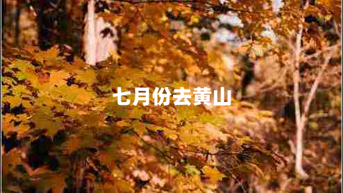 七月份去黃山 七月份去黃山