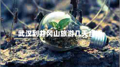 武漢到井岡山旅游幾天合適 武漢到井岡山旅游幾天合適