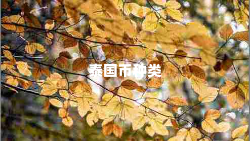 泰國(guó)幣種類(lèi)