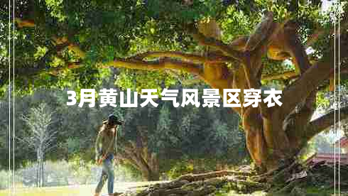 3月黃山天氣風(fēng)景區(qū)穿衣 3月黃山天氣風(fēng)景區(qū)穿衣