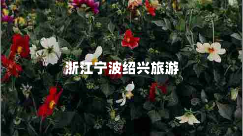 浙江寧波紹興旅游