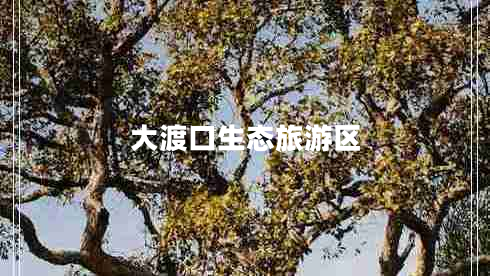 大渡口生態(tài)旅游區(qū) 大渡口生態(tài)旅游區(qū)