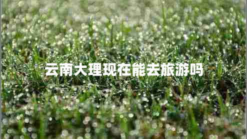 云南大理現(xiàn)在能去旅游嗎