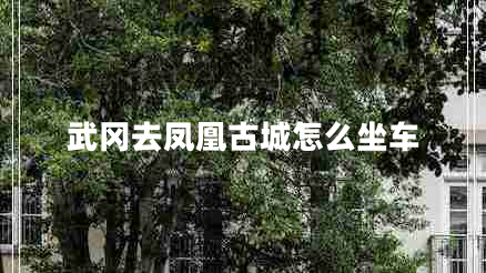 武岡去鳳凰古城怎么坐車