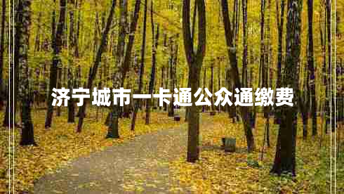 濟寧城市一卡通公眾通繳費