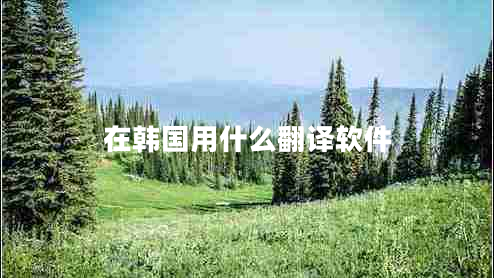 在韓國(guó)用什么翻譯軟件