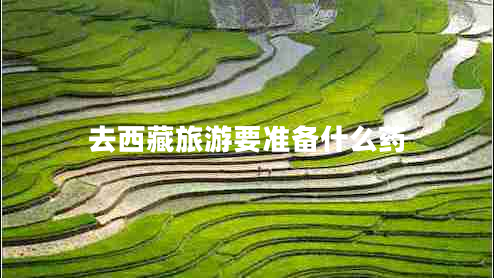 去西藏旅游要準(zhǔn)備什么藥