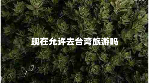 現(xiàn)在允許去臺灣旅游嗎 現(xiàn)在允許去臺灣旅游嗎