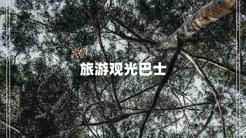 旅游觀光巴士 旅游觀光巴士