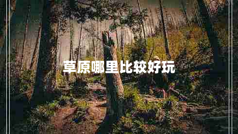 草原哪里比較好玩 草原哪里比較好玩