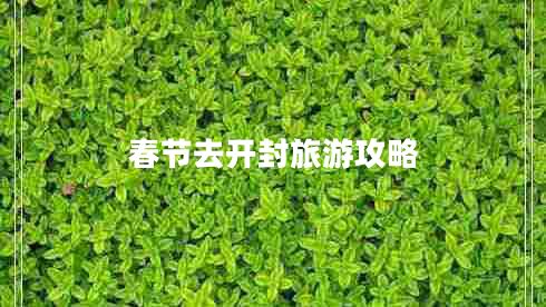 春節(jié)去開封旅游攻略 春節(jié)去開封旅游攻略