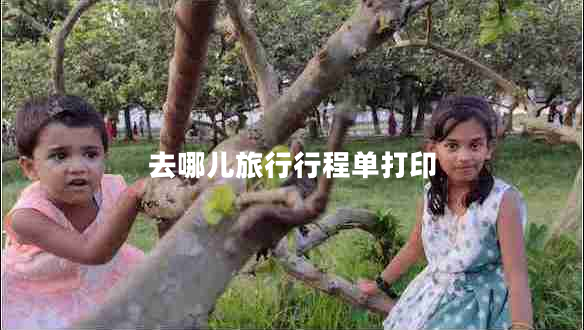 去哪兒旅行行程單打印
