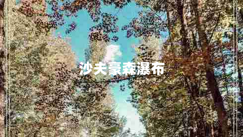 沙夫豪森瀑布 沙夫豪森瀑布