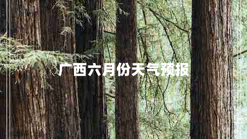廣西六月份天氣預(yù)報(bào)