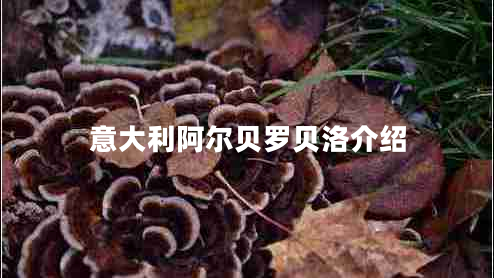 意大利阿爾貝羅貝洛介紹