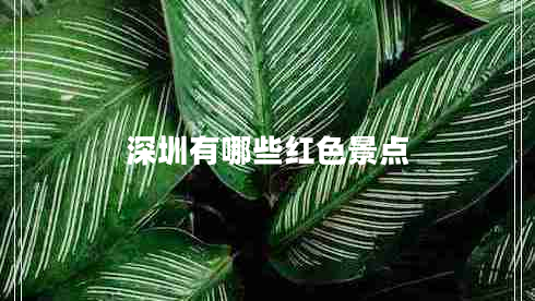深圳有哪些紅色景點(diǎn) 深圳有哪些紅色景點(diǎn)