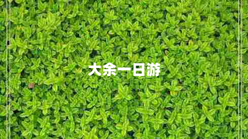 大余一日游 大余一日游