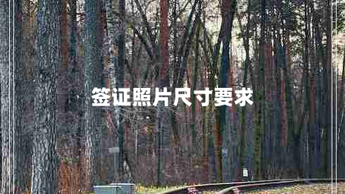 簽證照片尺寸要求 簽證照片尺寸要求