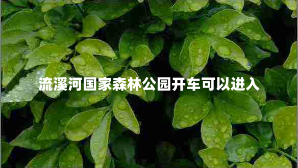 流溪河國(guó)家森林公園開(kāi)車可以進(jìn)入