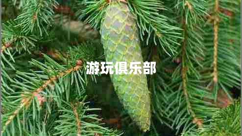 游玩俱樂部 游玩俱樂部