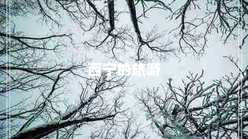 西寧的旅游 西寧的旅游