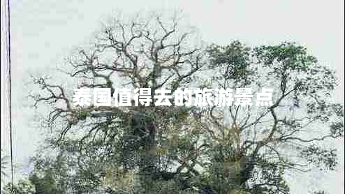泰國(guó)值得去的旅游景點(diǎn) 泰國(guó)值得去的旅游景點(diǎn)