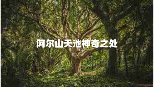 阿爾山天池神奇之處 阿爾山天池神奇之處