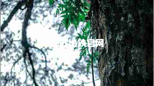 江蘇地鐵官網(wǎng) 江蘇地鐵官網(wǎng)