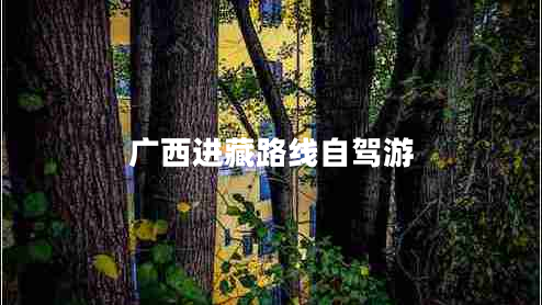 廣西進(jìn)藏路線自駕游 廣西進(jìn)藏路線自駕游