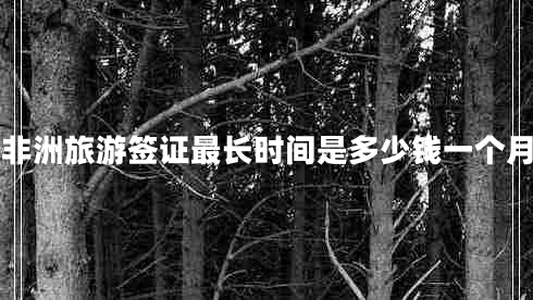 非洲旅游簽證最長時間是多少錢一個月 非洲旅游簽證最長時間是多少錢一個月