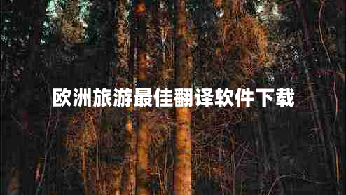 歐洲旅游最佳翻譯軟件下載 歐洲旅游最佳翻譯軟件下載
