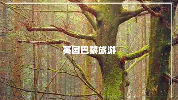 英國(guó)巴黎旅游 英國(guó)巴黎旅游