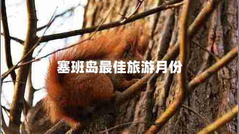 塞班島最佳旅游月份 塞班島最佳旅游月份