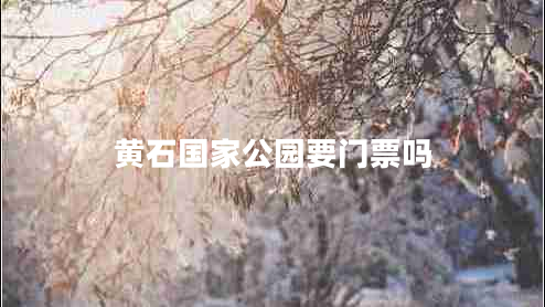 黃石國(guó)家公園要門票嗎 黃石國(guó)家公園要門票嗎