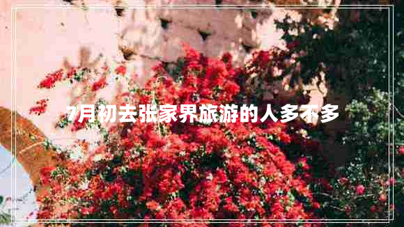 7月初去張家界旅游的人多不多 7月初去張家界旅游的人多不多