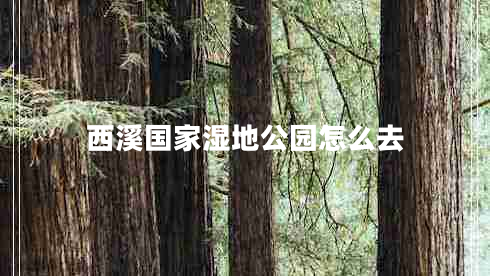 西溪國(guó)家濕地公園怎么去 西溪國(guó)家濕地公園怎么去