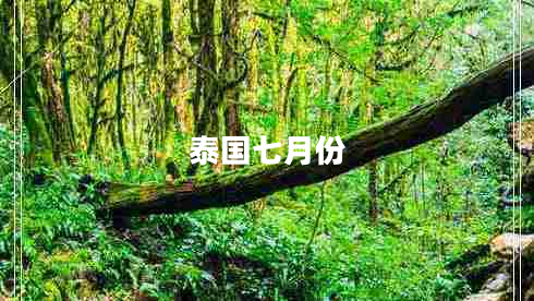 泰國(guó)七月份 泰國(guó)七月份