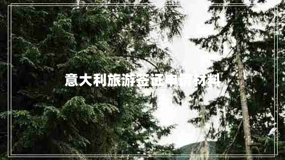 意大利旅游簽證申請材料