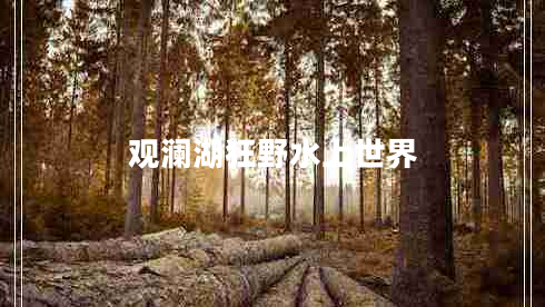 觀瀾湖狂野水上世界 觀瀾湖狂野水上世界