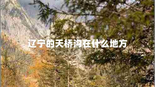 遼寧的天橋溝在什么地方