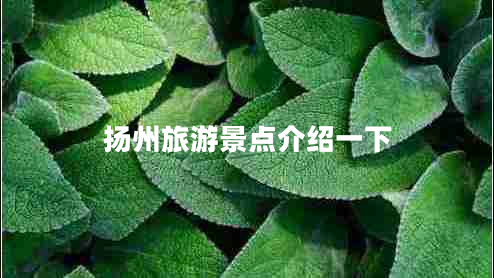 揚(yáng)州旅游景點(diǎn)介紹一下 揚(yáng)州旅游景點(diǎn)介紹一下
