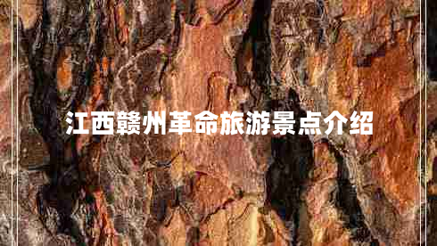 江西贛州革命旅游景點(diǎn)介紹