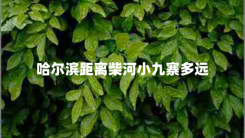 哈爾濱距離柴河小九寨多遠