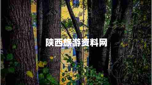 陜西旅游資料網(wǎng) 陜西旅游資料網(wǎng)