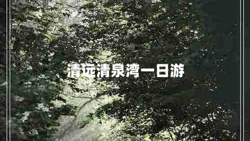 清遠清泉灣一日游