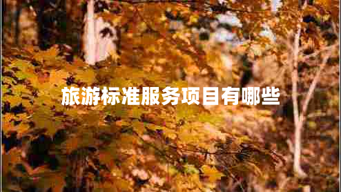 旅游標(biāo)準(zhǔn)服務(wù)項(xiàng)目有哪些 旅游標(biāo)準(zhǔn)服務(wù)項(xiàng)目有哪些