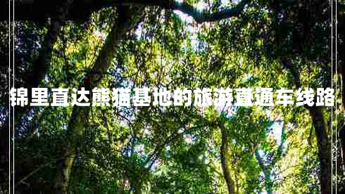 錦里直達熊貓基地的旅游直通車線路 錦里直達熊貓基地的旅游直通車線路