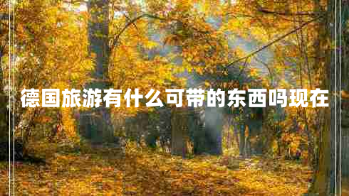 德國旅游有什么可帶的東西嗎現(xiàn)在 德國旅游有什么可帶的東西嗎現(xiàn)在