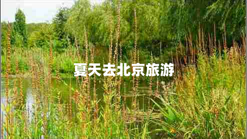 夏天去北京旅游 夏天去北京旅游